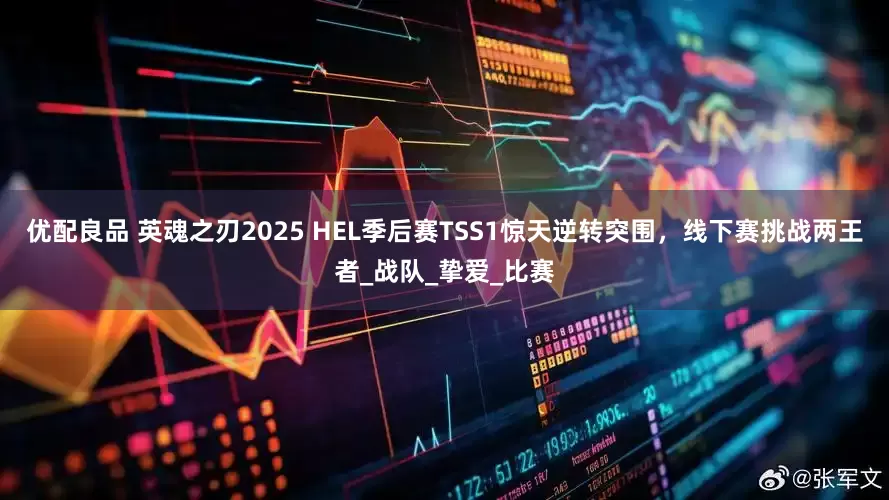优配良品 英魂之刃2025 HEL季后赛TSS1惊天逆转突围，线下赛挑战两王者_战队_挚爱_比赛