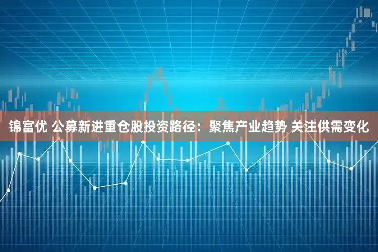 锦富优 公募新进重仓股投资路径：聚焦产业趋势 关注供需变化